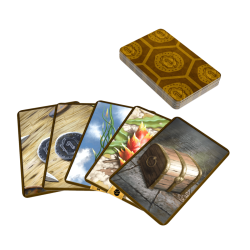 Cartas del juego de mesa Frosthaven, uno de los mejores  juegos de estrategia