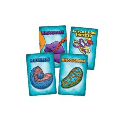 Cartas del Juego de mesa Peptide: Un Juego De Construcción De Proteínas, útil como recurso educativo